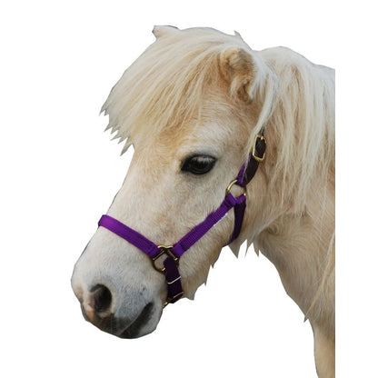 Triple E Nylon Mini Halter with Leather Crown