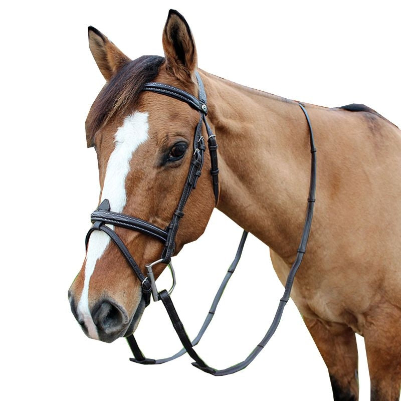 HDR Kushy Bridle with Flash Attachment