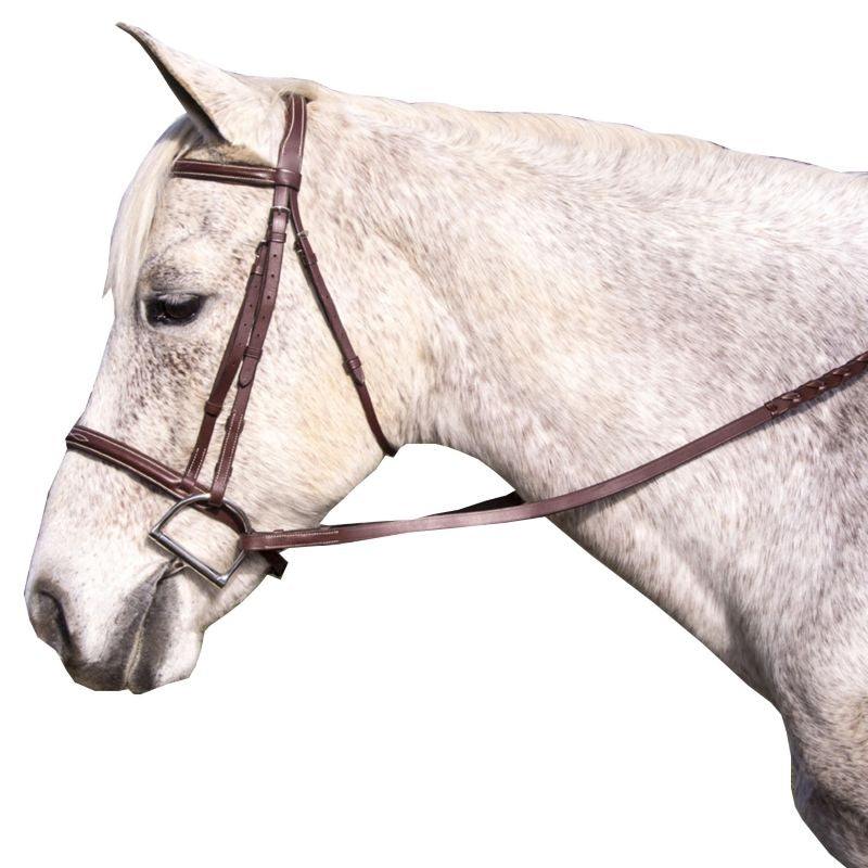 Pro-Trainer Padded Fancy Stitched Bridle