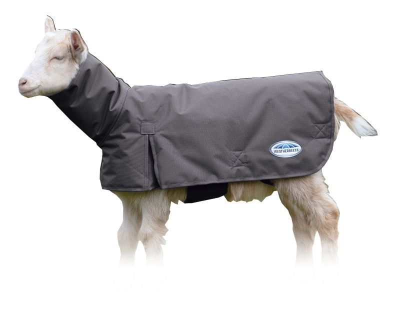 Weatherbeeta Deluxe Goat Coat with Neck