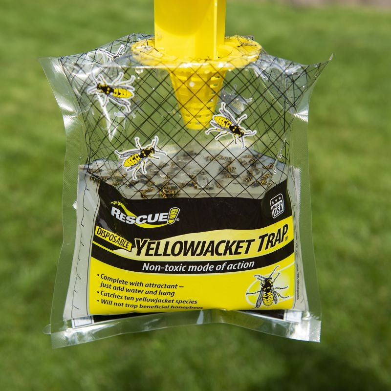 Rescue Yellowjacket Disposable Trap