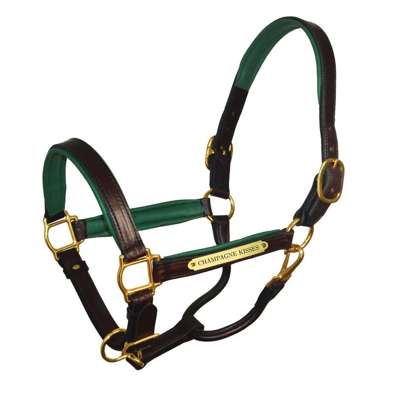 Perri's Personalized Padded Leather Halter