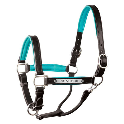 Perri's Personalized Padded Leather Halter