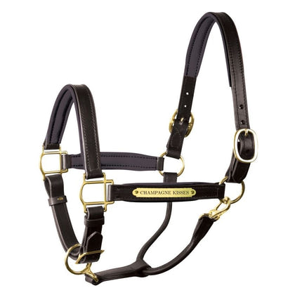 Perri's Personalized Padded Leather Halter