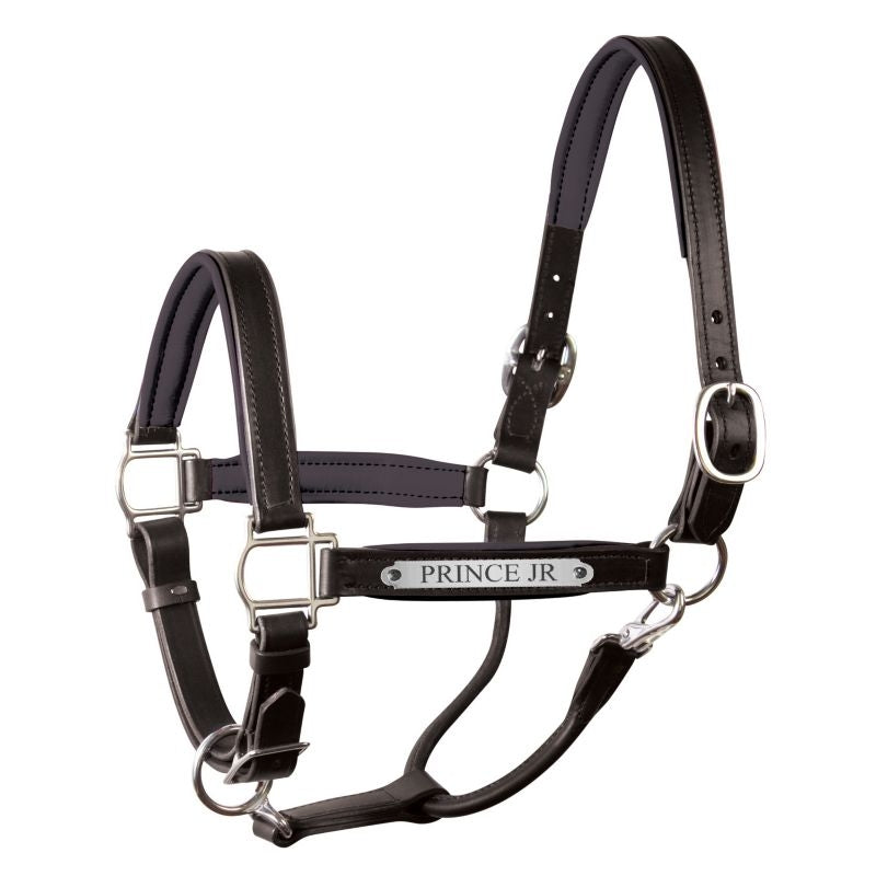 Perri's Personalized Padded Leather Halter