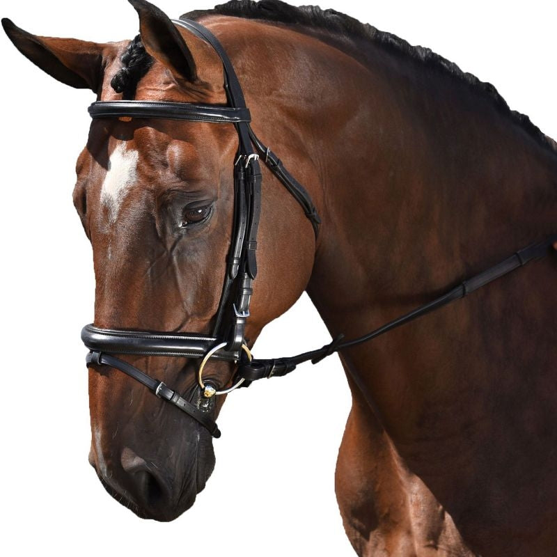 M Toulouse Euro-Style Dressage Bridle