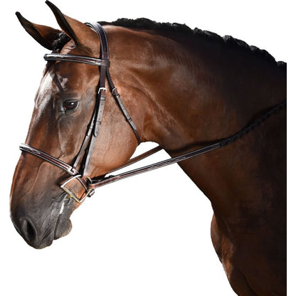 M. Toulouse Novice Hunter Bridle