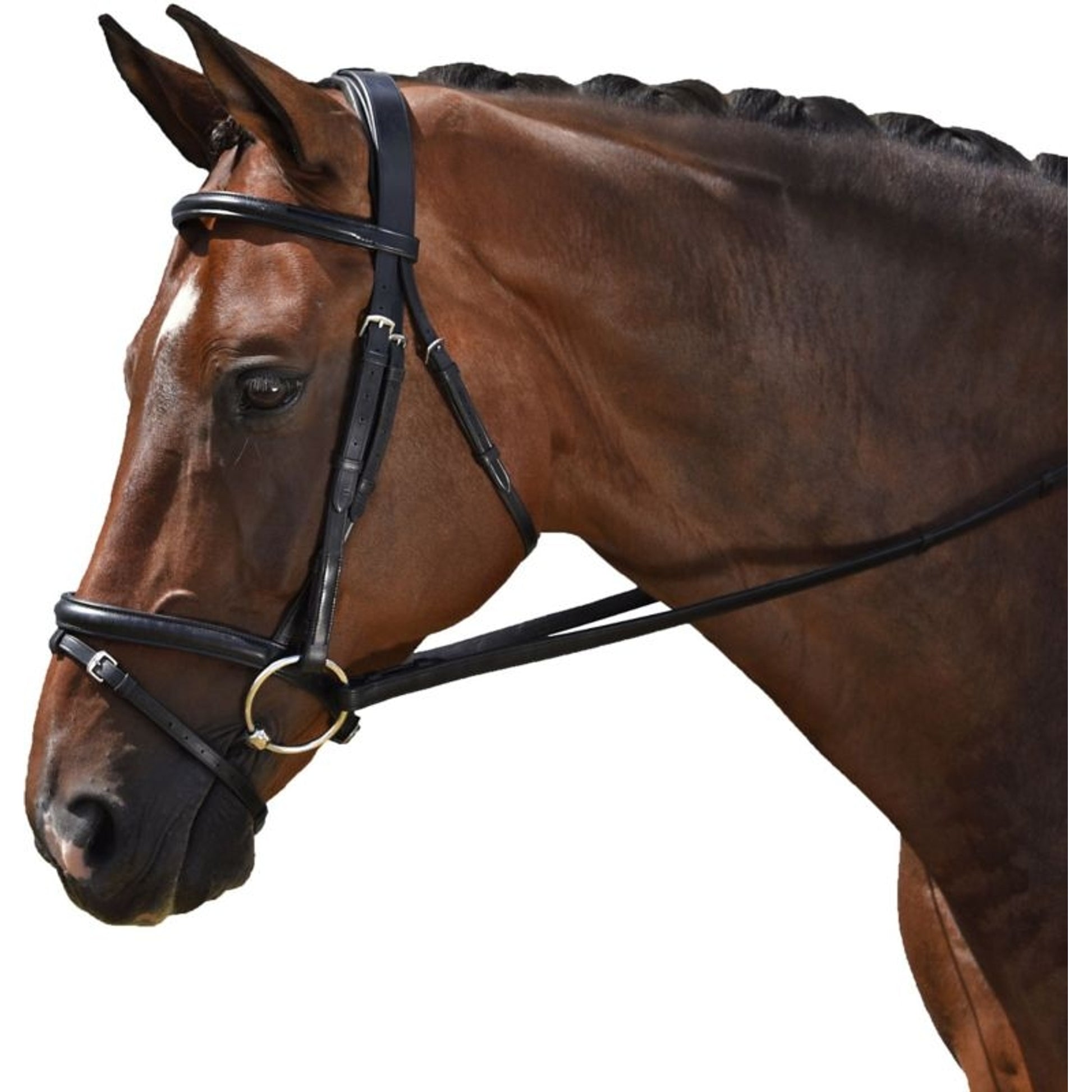 M Toulouse Classic Black Dressage Bridle