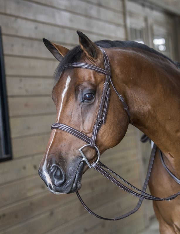 DaVinci Fancy Raised Comfort Bridle