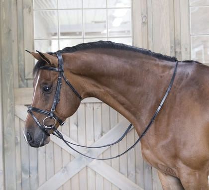 DaVinci Raise Comfort Dressage Bridle/Flash