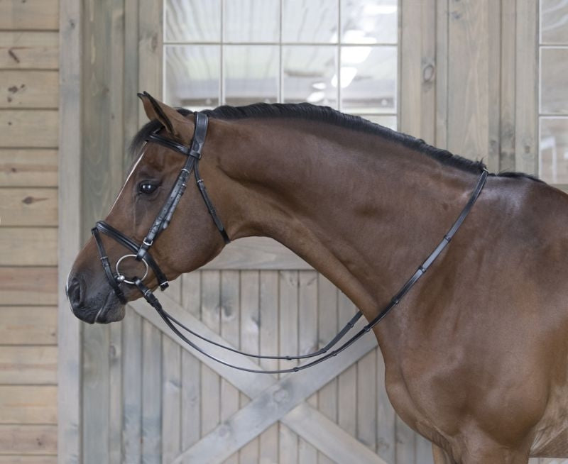 DaVinci Raised Pad Dressage Bridle/Flash