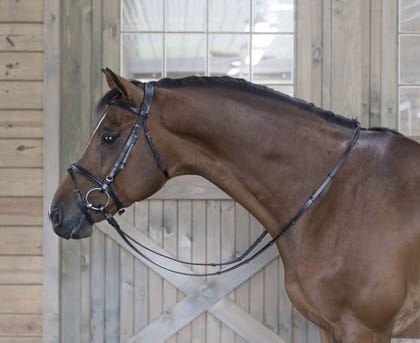 DaVinci Raised Pad Dressage Bridle/Flash