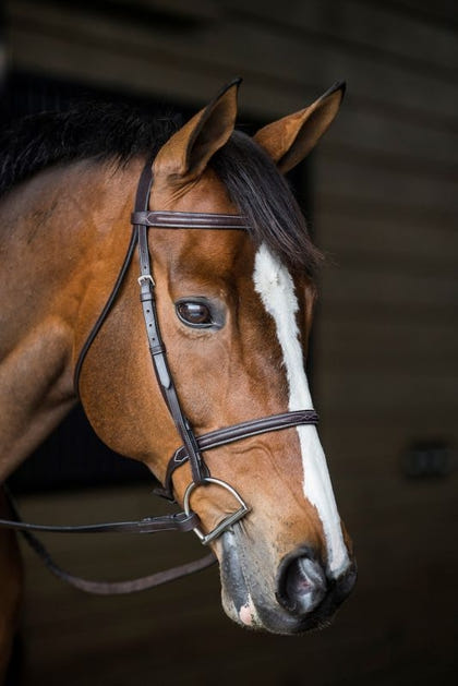 Gatsby Fancy Stitched Raised English Bridle