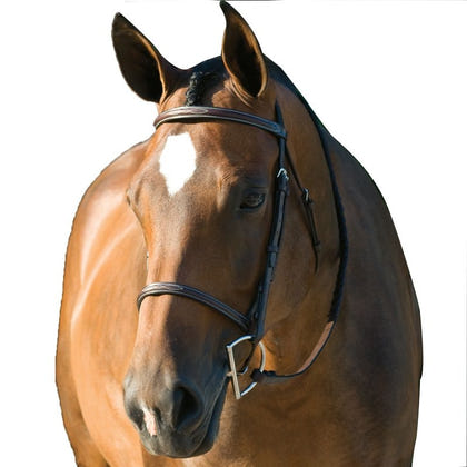 Gatsby Fancy Stitched Raised English Bridle