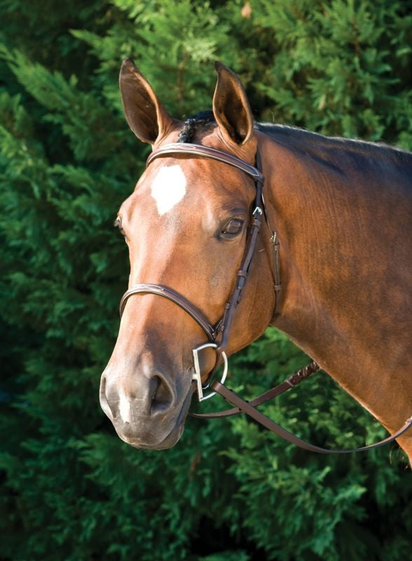 Gatsby Fancy Stitched Raised English Bridle