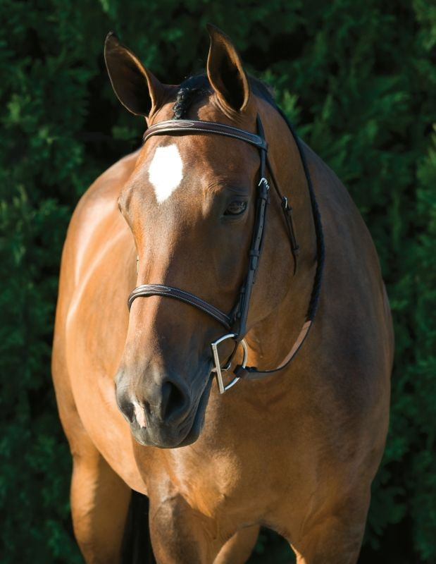 Gatsby Fancy Stitched Raised English Bridle