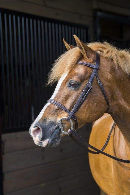 Gatsby Fancy Stitched Raised English Bridle