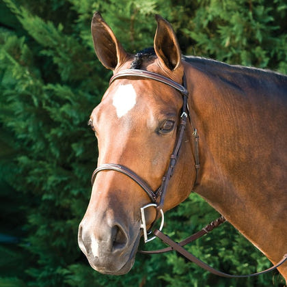 Gatsby Fancy Stitched Raised English Bridle