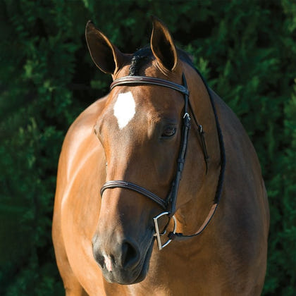Gatsby Fancy Stitched Raised English Bridle