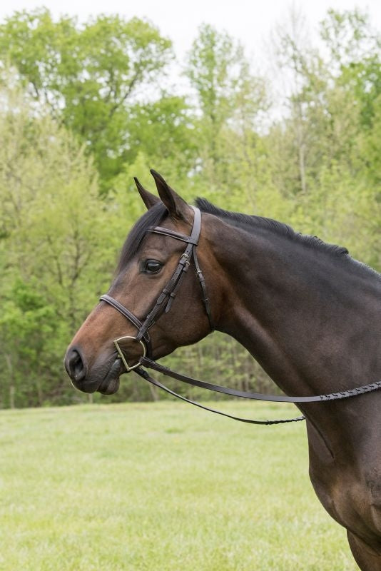 Gatsby Fancy Stitched Raised English Bridle