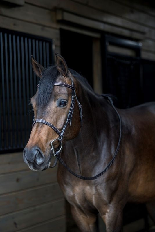 Gatsby Fancy Stitched Raised English Bridle