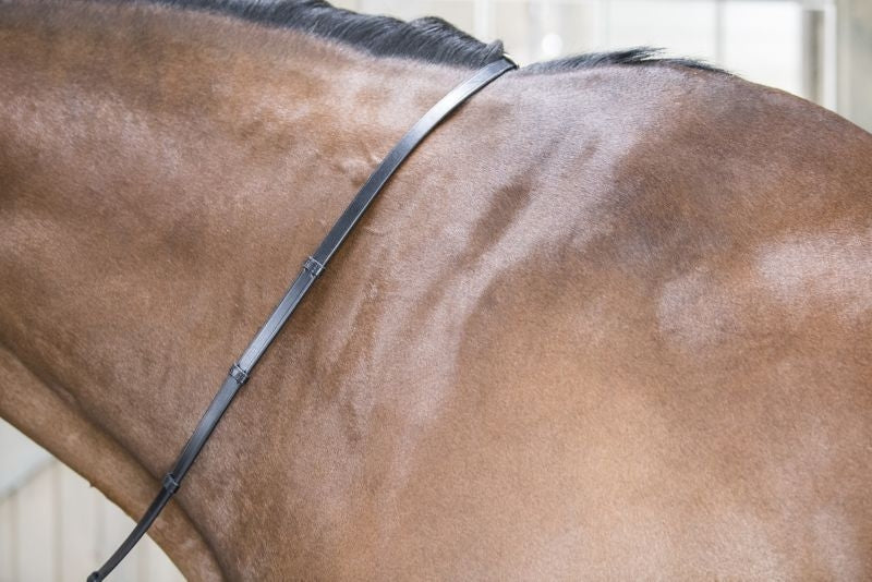 DaVinci Flat Leather Grip Reins
