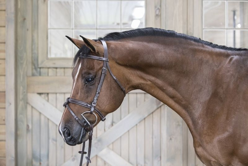DaVinci Raise Event/Drsge Combo Bridle