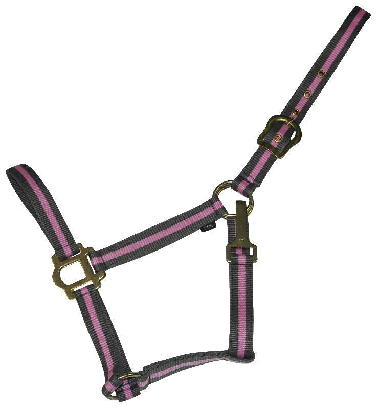 Gatsby 2-Tone Nylon Halter/Snap