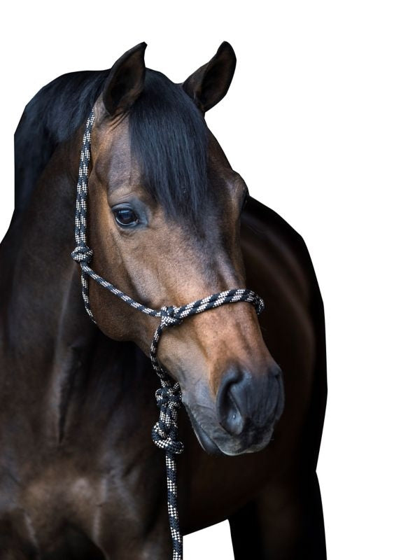 Gatsby Cowboy Rope Halter with Lead