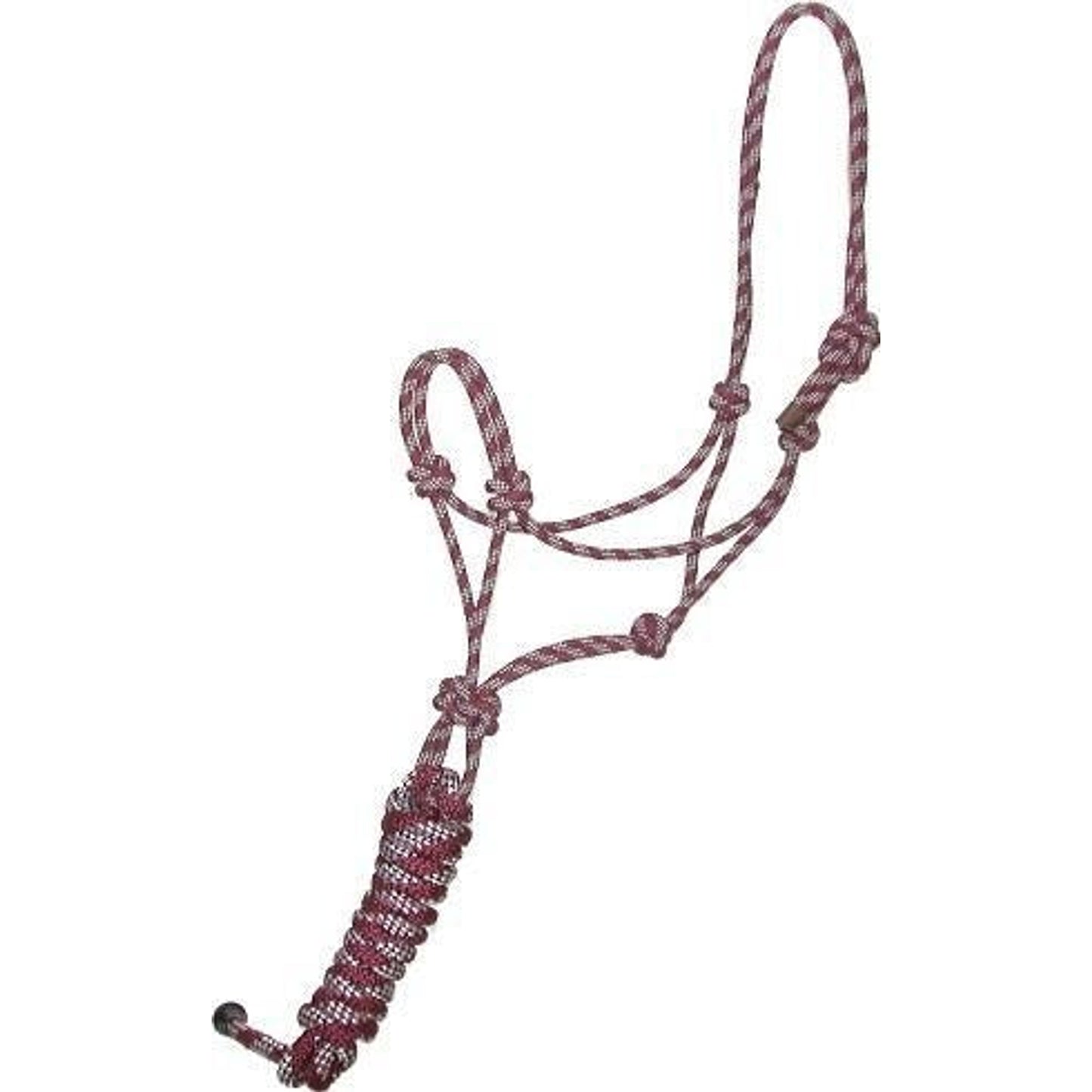 🎁 Gatsby Cowboy Rope Halter with Lead (100% off)