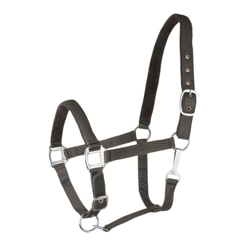 Gatsby 2-Tone Suede Nylon Halter