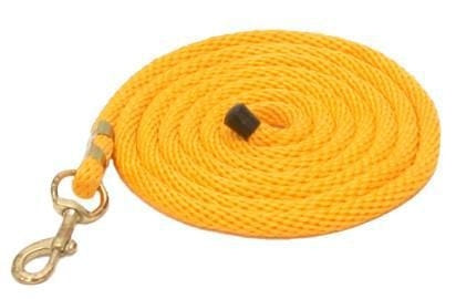 Gatsby Poly 10ft Lead/Snap