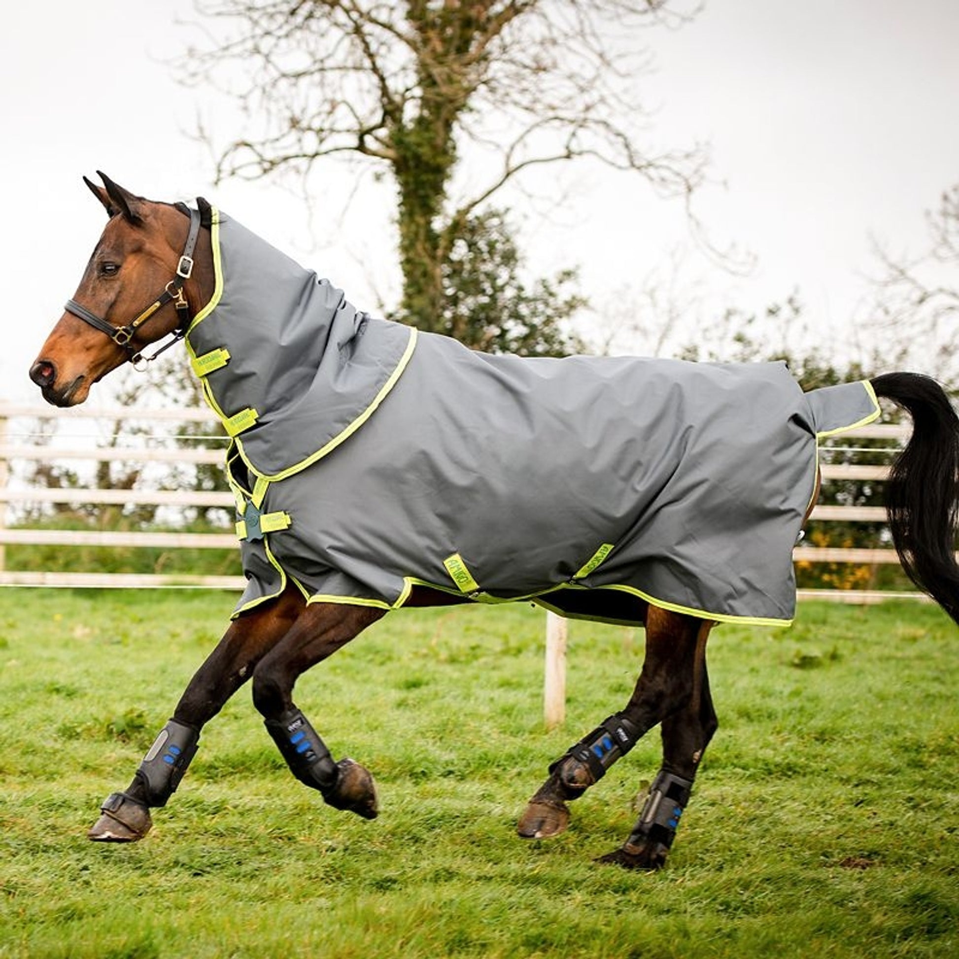 Amigo Hero 900 Plus 100g DF Blanket