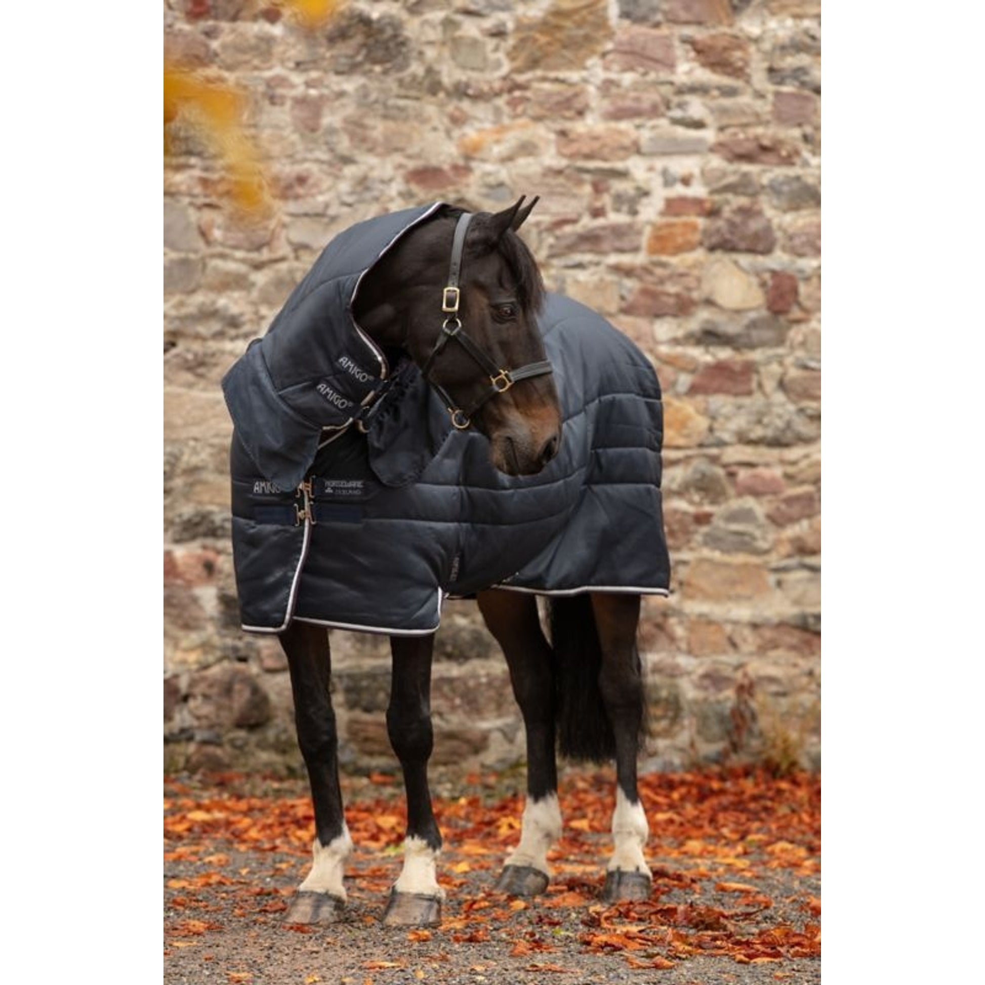 Amigo Insulator All-In-One Medium