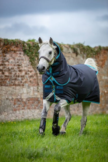 Amigo Bravo Pony Plus Medium Turnout
