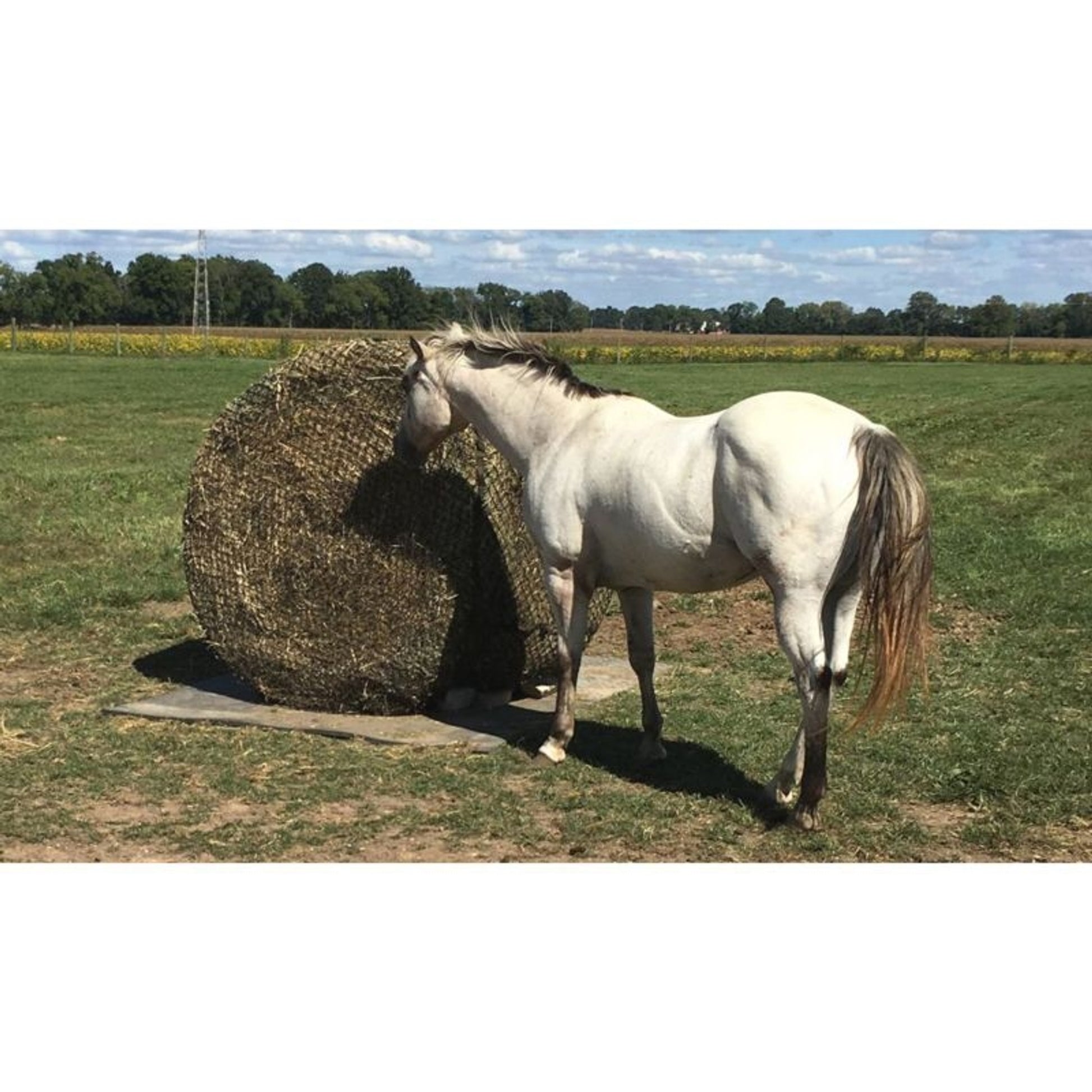 Tough1 6x6 Round Bale Net 1.5in x 1.5in Openings