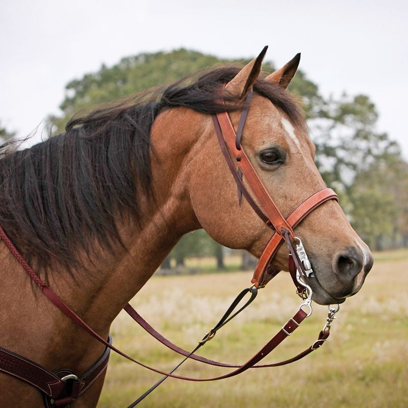 Cowboy Tack 1 1/4in Harness Overlay Latigo Noseban