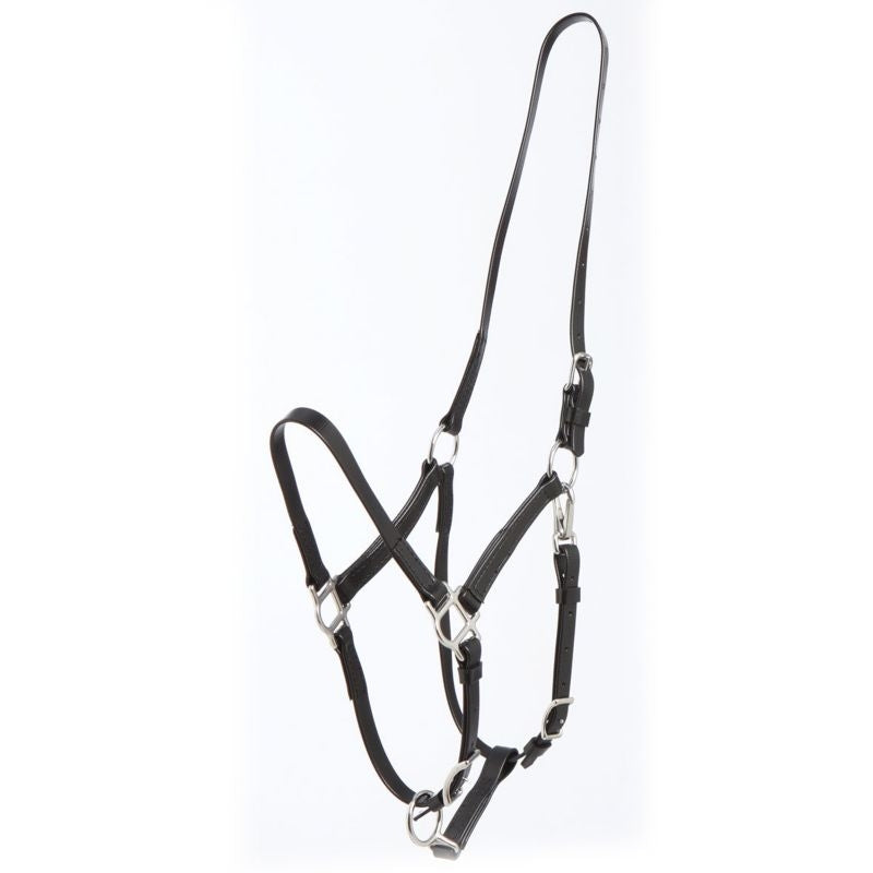 Zilco Deluxe Endurance Halter Oversize Black