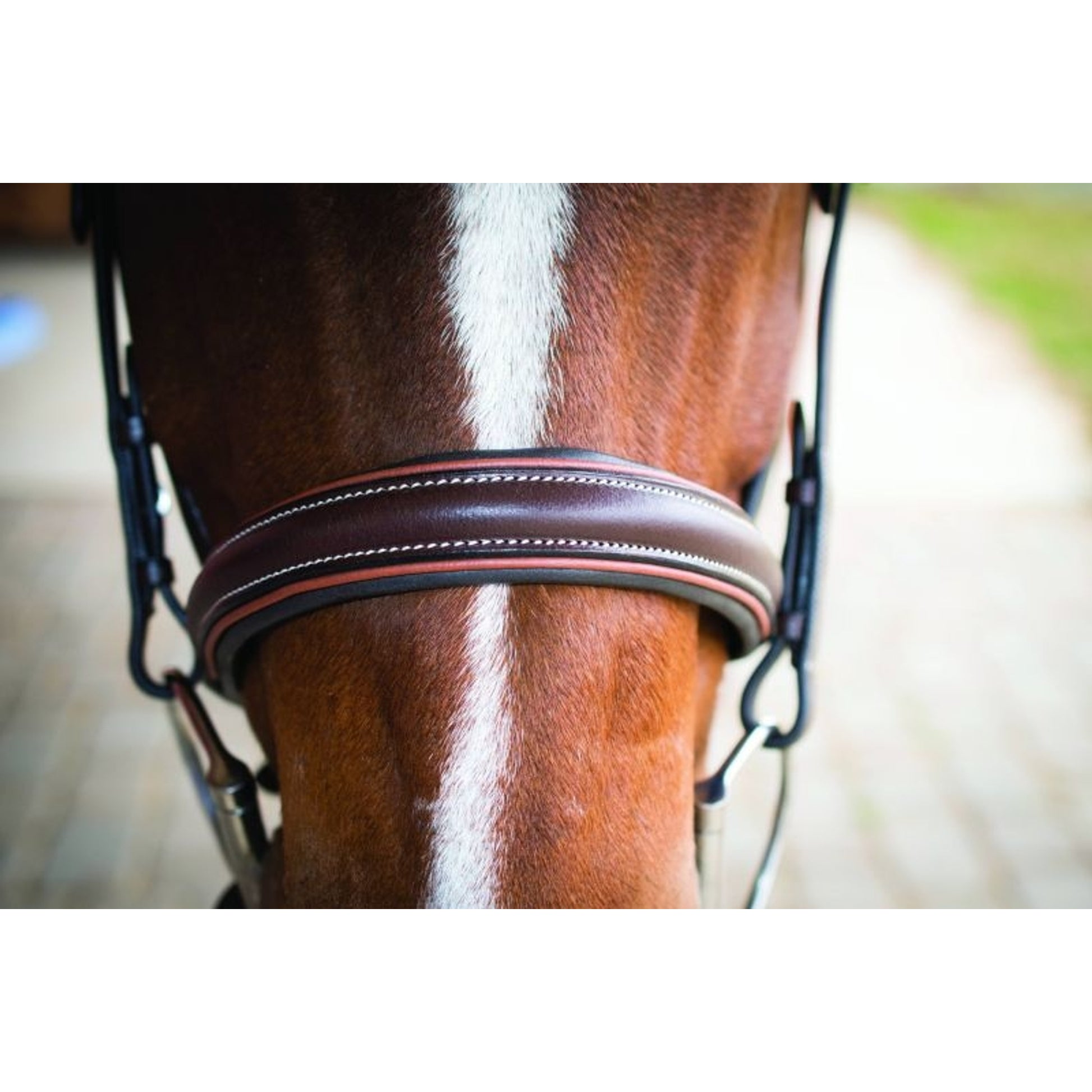 Lami-Cell Two Tone Bridle