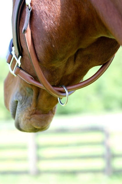 Arc de Triomphe Leather Halter