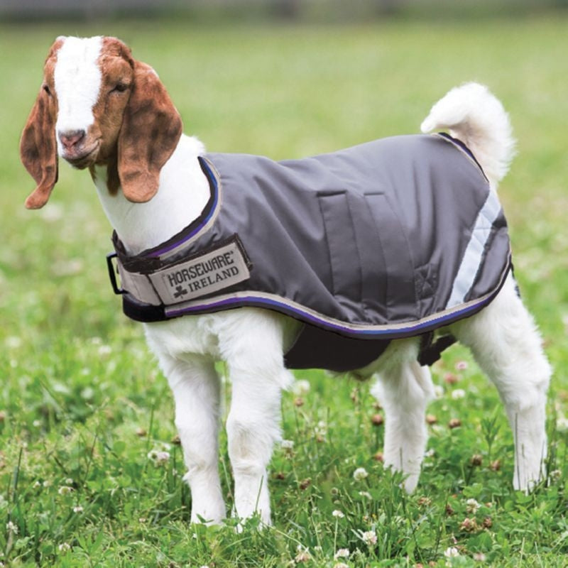 Horseware 100g Goat Coat