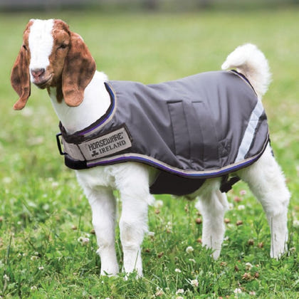 Horseware 100g Goat Coat
