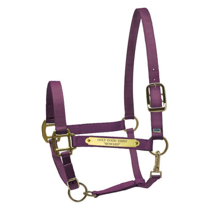 Perri's Personalized Nylon Super Halter