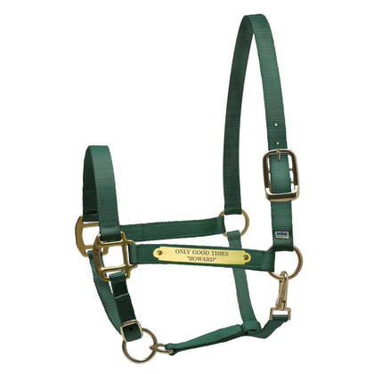 Perri's Personalized Nylon Super Halter