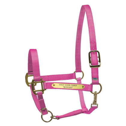 Perri's Personalized Nylon Super Halter