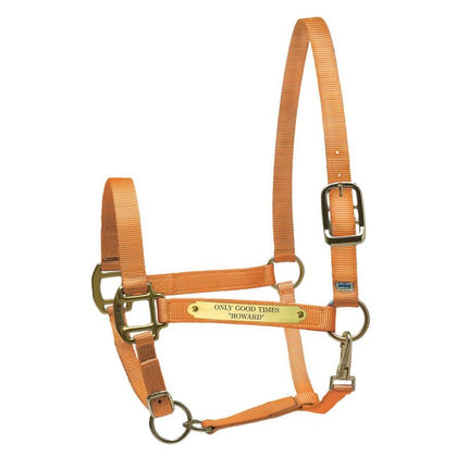 Perri's Personalized Nylon Super Halter