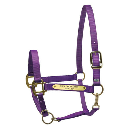 Perri's Personalized Nylon Super Halter