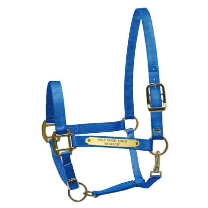 Perri's Personalized Nylon Super Halter