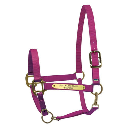 Perri's Personalized Nylon Super Halter