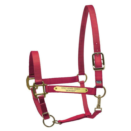 Perri's Personalized Nylon Super Halter